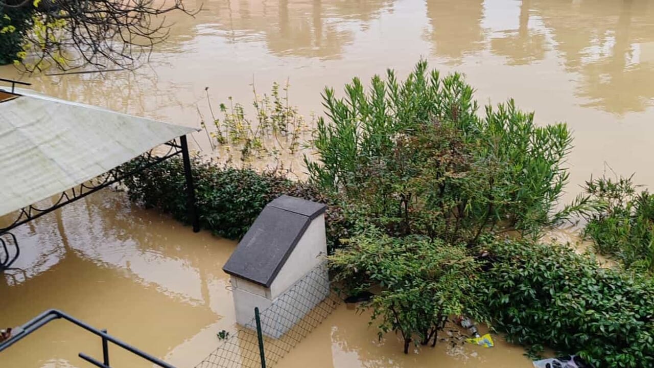 "Non è ancora arrivato nessuno"
