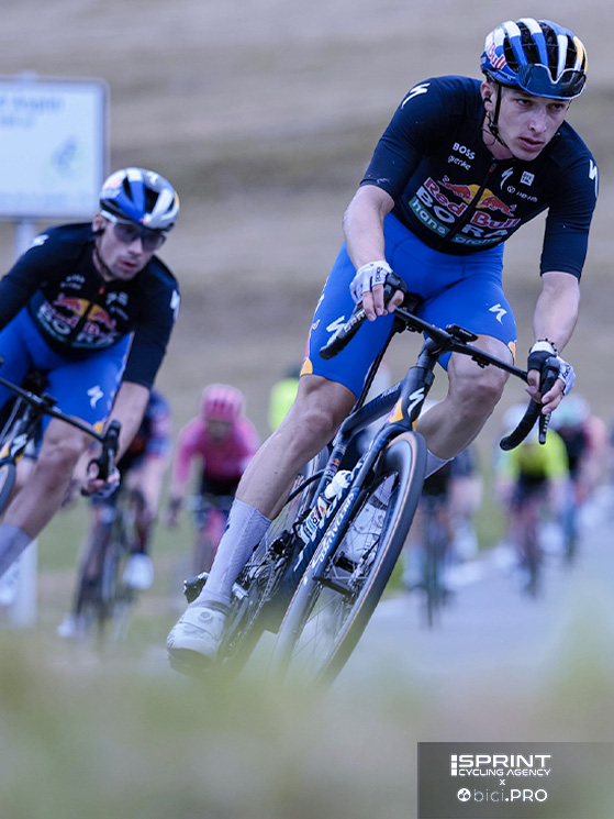 red Bull Bora, Lipowitz e Roglic