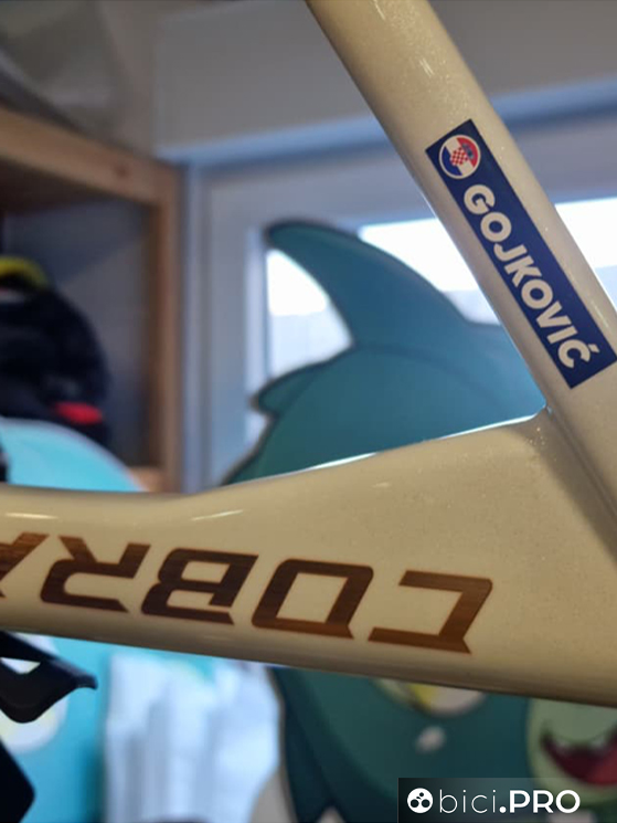 Nikolas Gojkovic, Pogi Team Gusto Ljubljana, Gusto bike