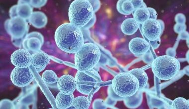 Infezioni sessualmente trasmissibili, torna alto l’allarme