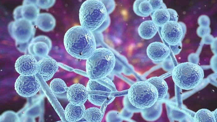 Infezioni sessualmente trasmissibili, torna alto l’allarme