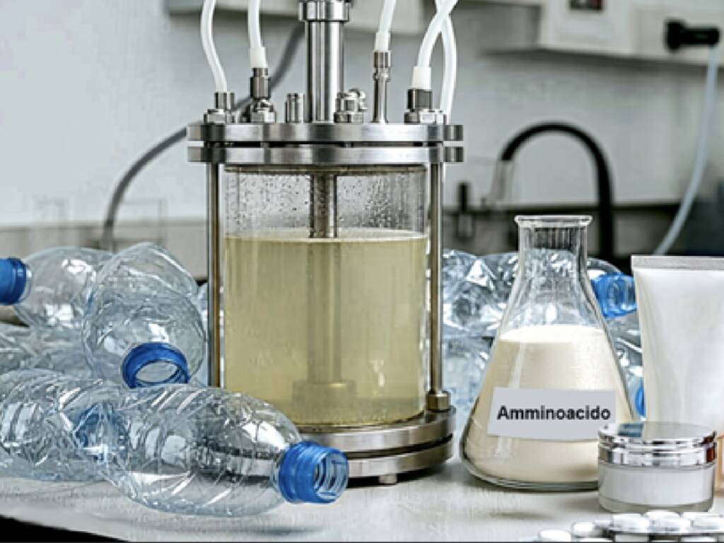 all’Università dell’Insubria un processo la trasforma in amminoacidi