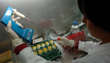 Aviaria, morto negli Usa il primo caso umano contagiato dal ceppo H5N5