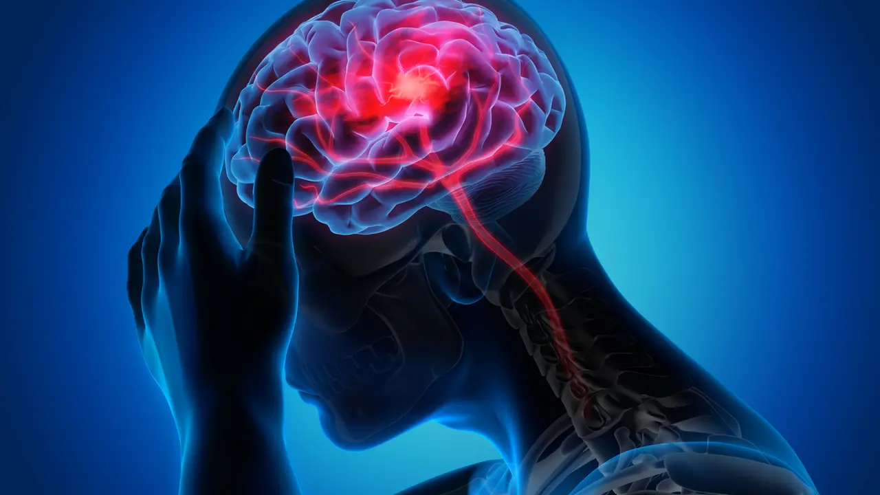 Le ricerche sul cervello