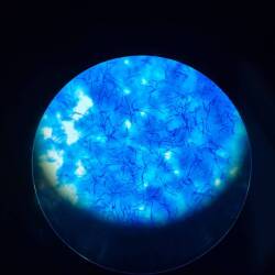 Mediterranea Biotecnologie