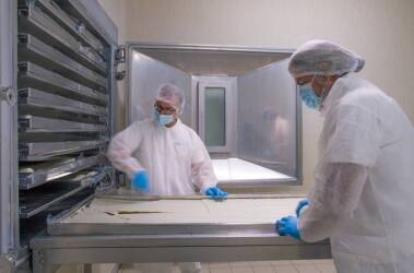 Mediterranea Biotecnologie