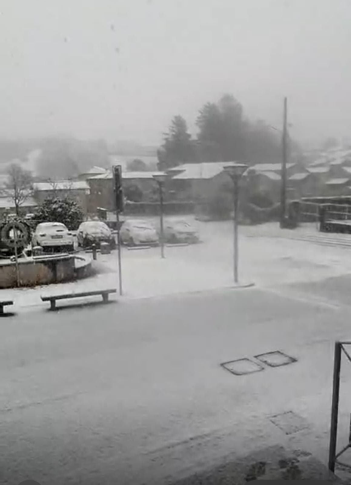 Monte Marenzo, neve 21 novembre 2025.