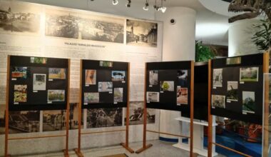 resteranno in mostra nelle sale del museo universitario