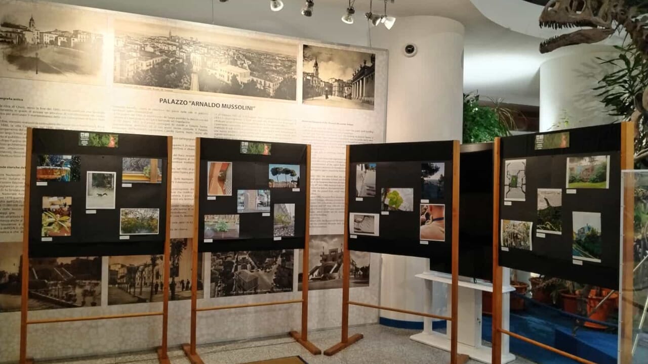 resteranno in mostra nelle sale del museo universitario