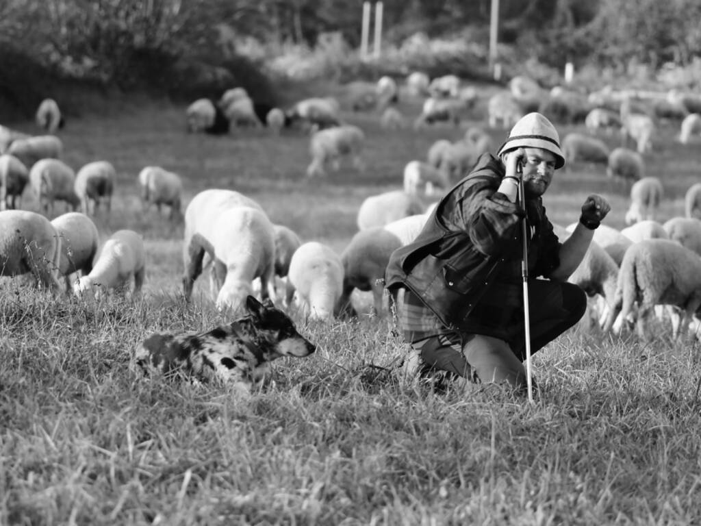 ad Azzate il racconto della vita da pastore
