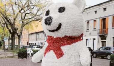 Il Natale si accende, oggi l’albero