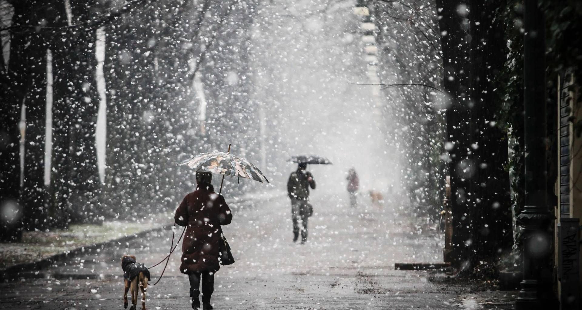 Meteo, freddo polare e neve per il weekend di sabato 22 e domenica 23 novembre
