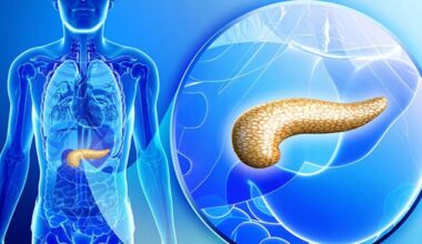 vai alla homepage de Il Sole 24 Ore