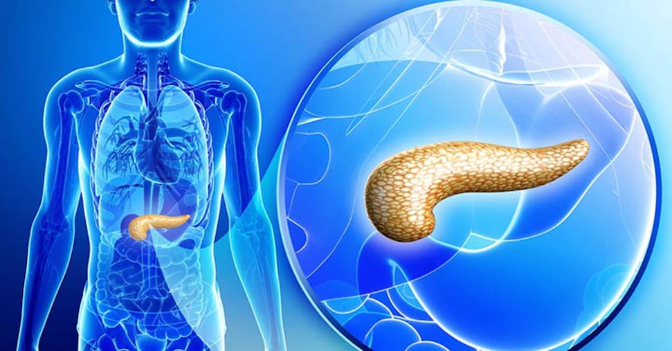 vai alla homepage de Il Sole 24 Ore