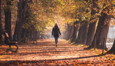 “Dove scappi? Vieni qui, bella”