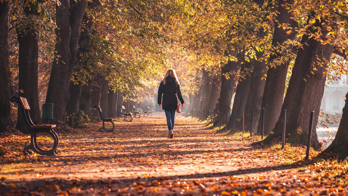 “Dove scappi? Vieni qui, bella”