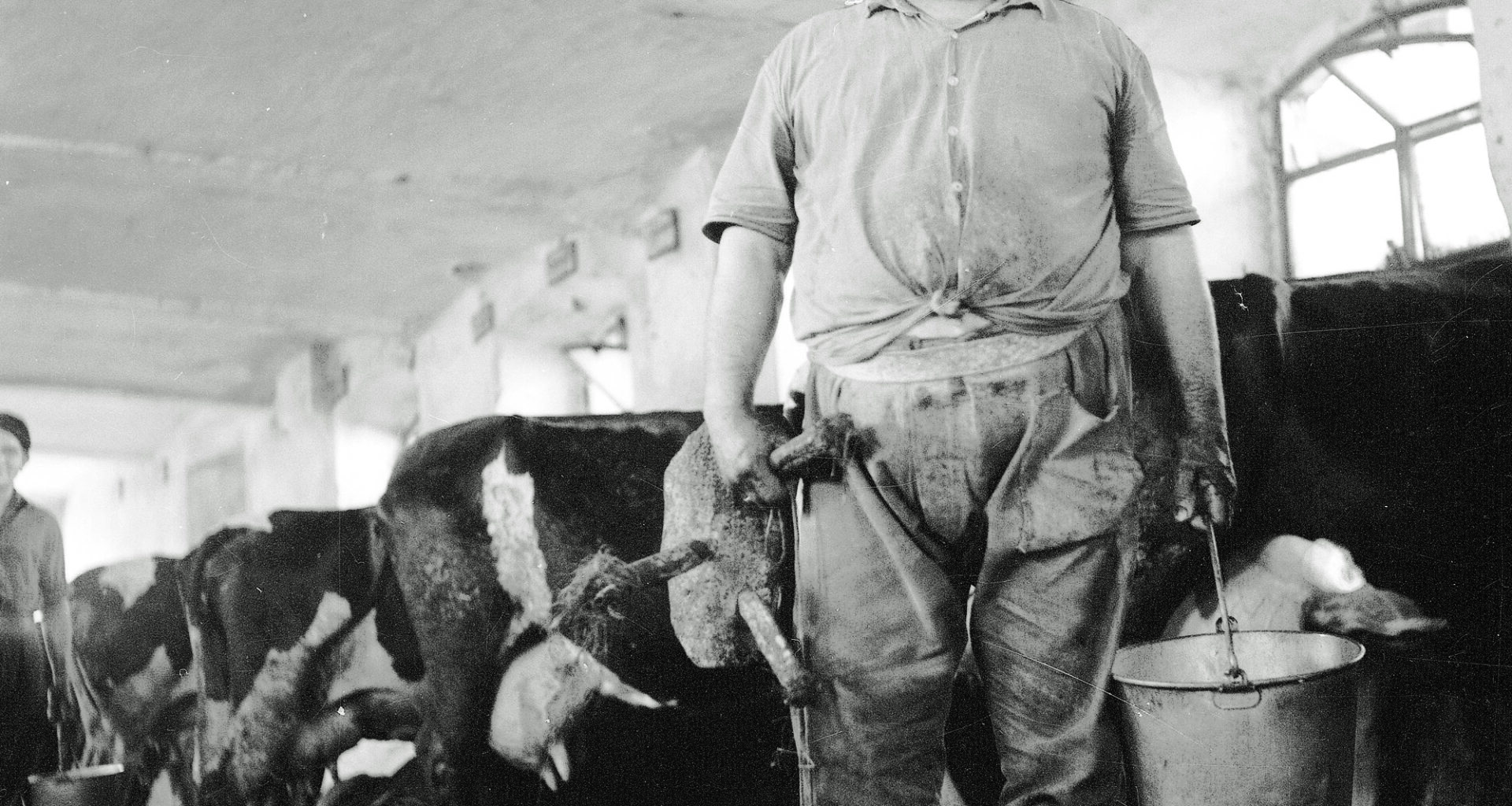 Al Cinema Eden un viaggio nella civiltà contadina con i canti de I Violenti Piovaschi