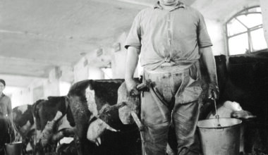 Al Cinema Eden un viaggio nella civiltà contadina con i canti de I Violenti Piovaschi