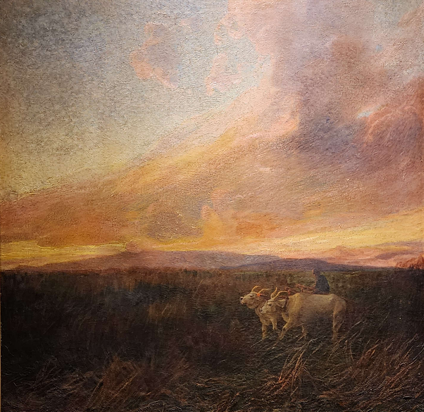 Plinio Nomellini, Meriggio infuocato (1901-1903 circa; olio su tela, 105 x 105 cm; Genova, Camera di Commercio)