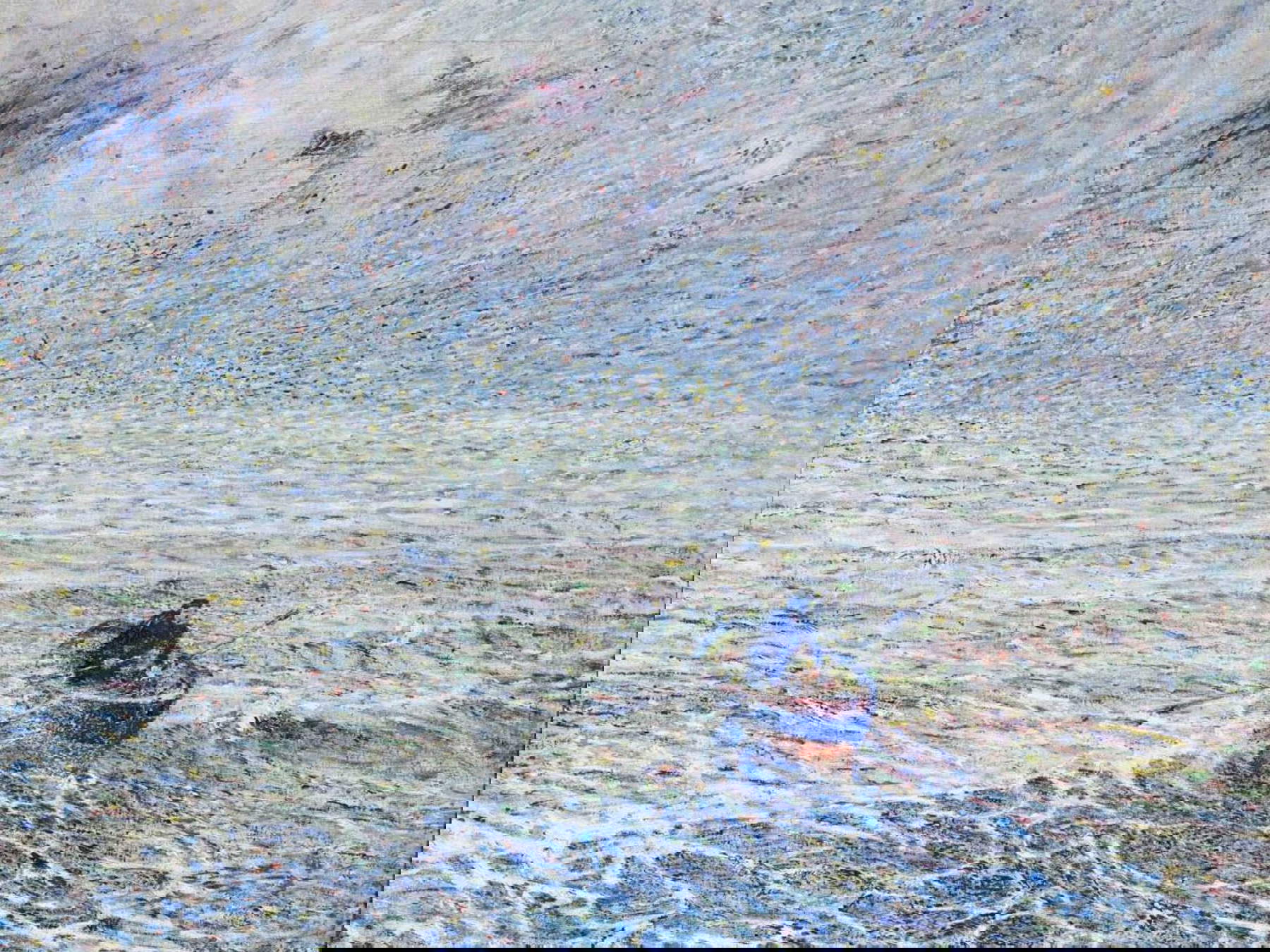 Plinio Nomellini, Mare di Genova (Naufragio) (1891; olio su tela, 70 x 81 cm; Collezione privata). Su concessione di Galleria Arte Casa, Genova