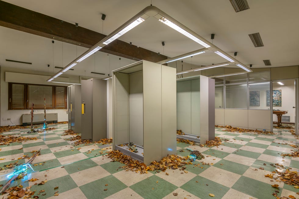 empty interior space with cabinets and scattered leaves