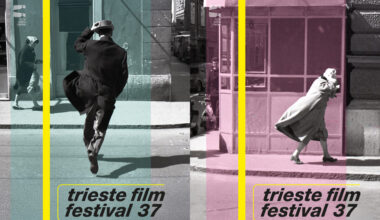 ecco l'immagine del Trieste Film Festival