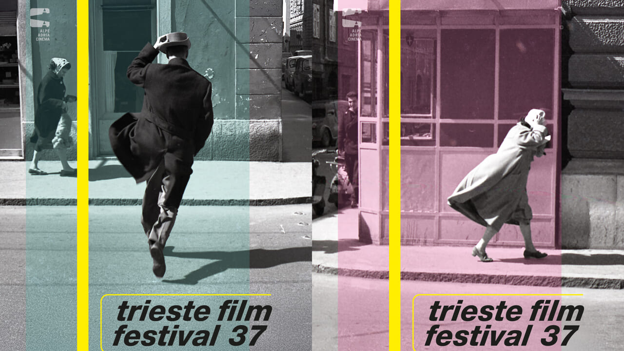 ecco l'immagine del Trieste Film Festival