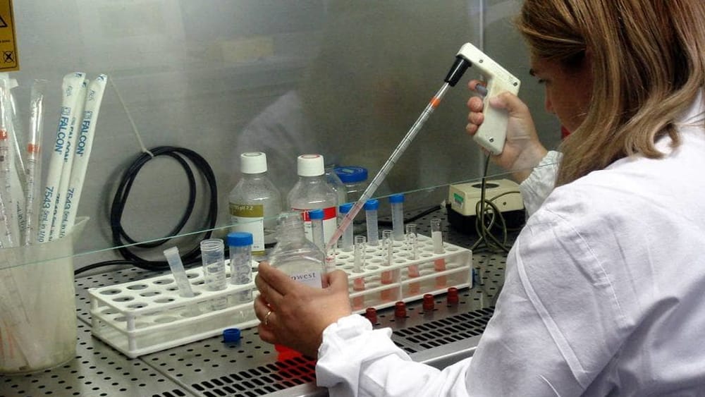 "Lavoriamo su cell factory e rientro cervelli"