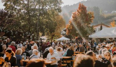 Dal ragù al torrone, le sagre del weekend dell'8 e 9 novembre 2025