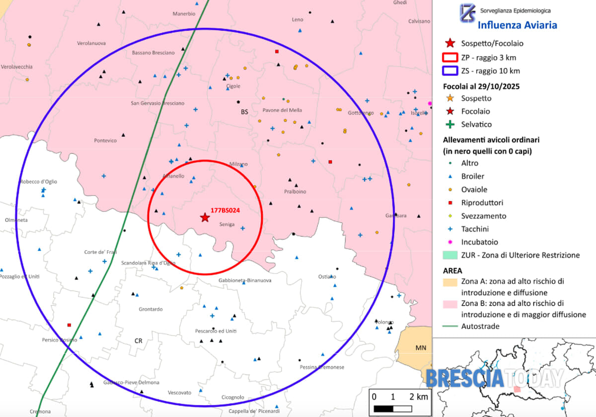 La mappa di Ats: nel cerchio rosso la zona di Protezione, in quello blu quella di sorveglianza 