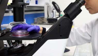 lo studio del Bambino Gesù