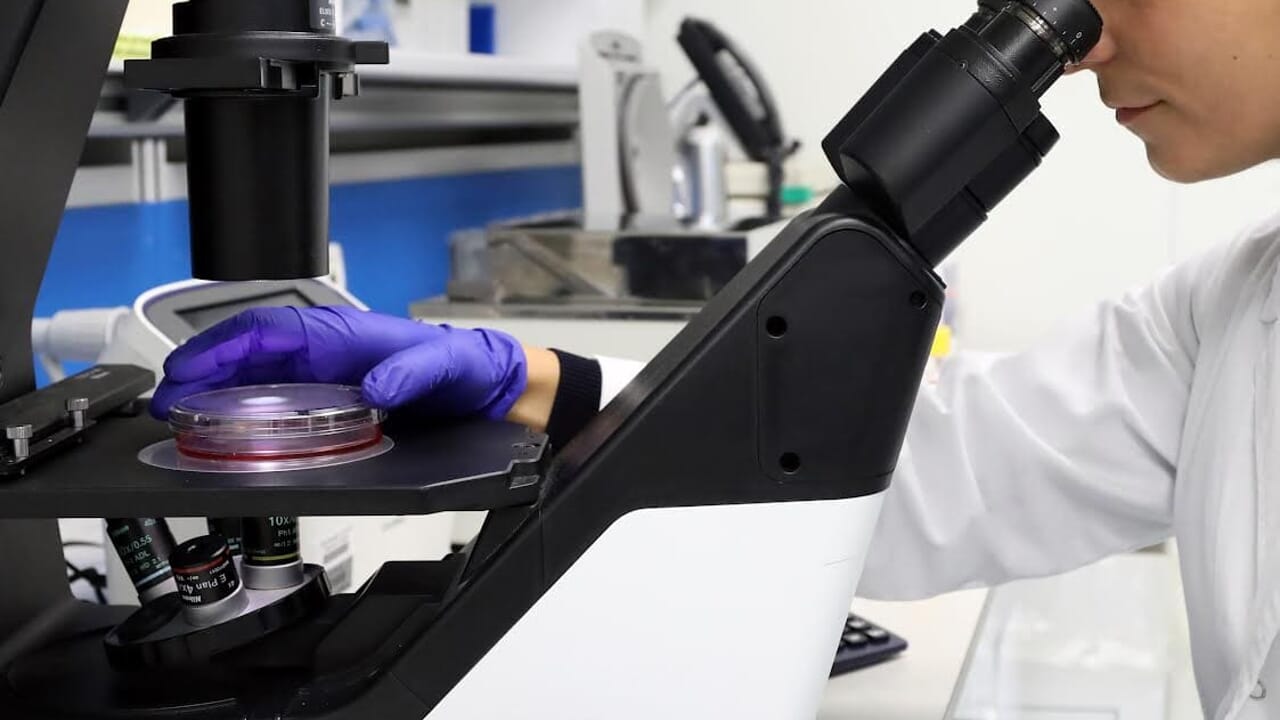 lo studio del Bambino Gesù