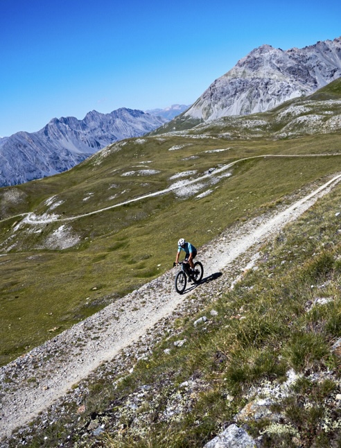 Stelvio Santini Gravel