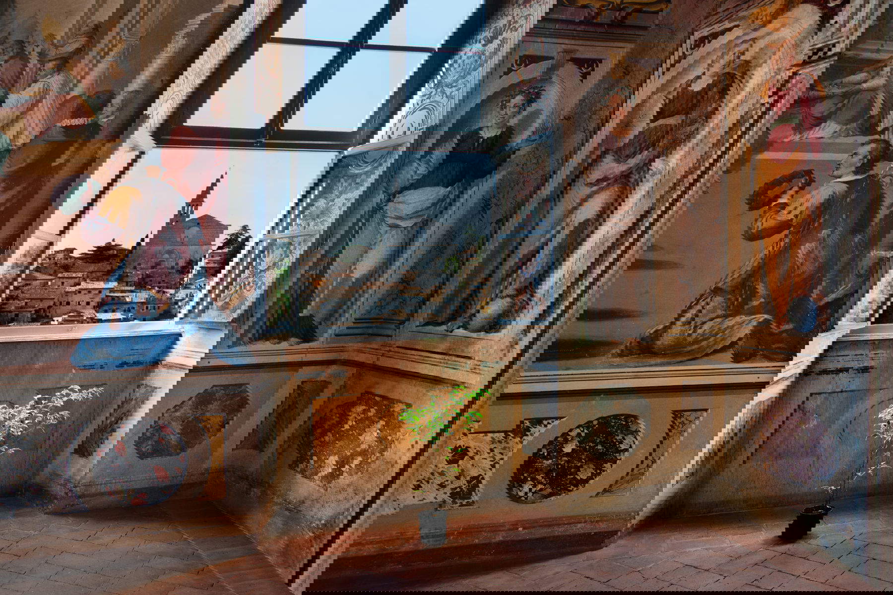 Steve McCurry, Luce del sole su una pianta sotto una finestra aperta (2012; Todi, Umbria). ©Steve McCurry All rights reserved