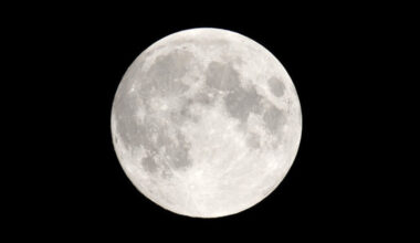 Arriva la "Superluna" più grande dell'anno: quando e come vederla