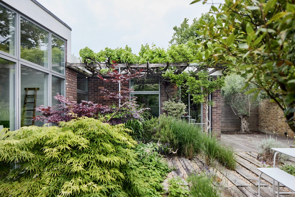 urban garden featuring lush greenery and modern architectural elements