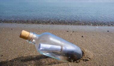 sono le parole di Malcom e William, giovani soldati in partenza per la guerra