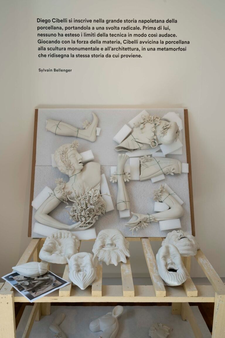 Una vita all'aria aperta, Diego Cibelli, Foto Daniele Portanome per Fondazione Luigi Rovati, Installation view