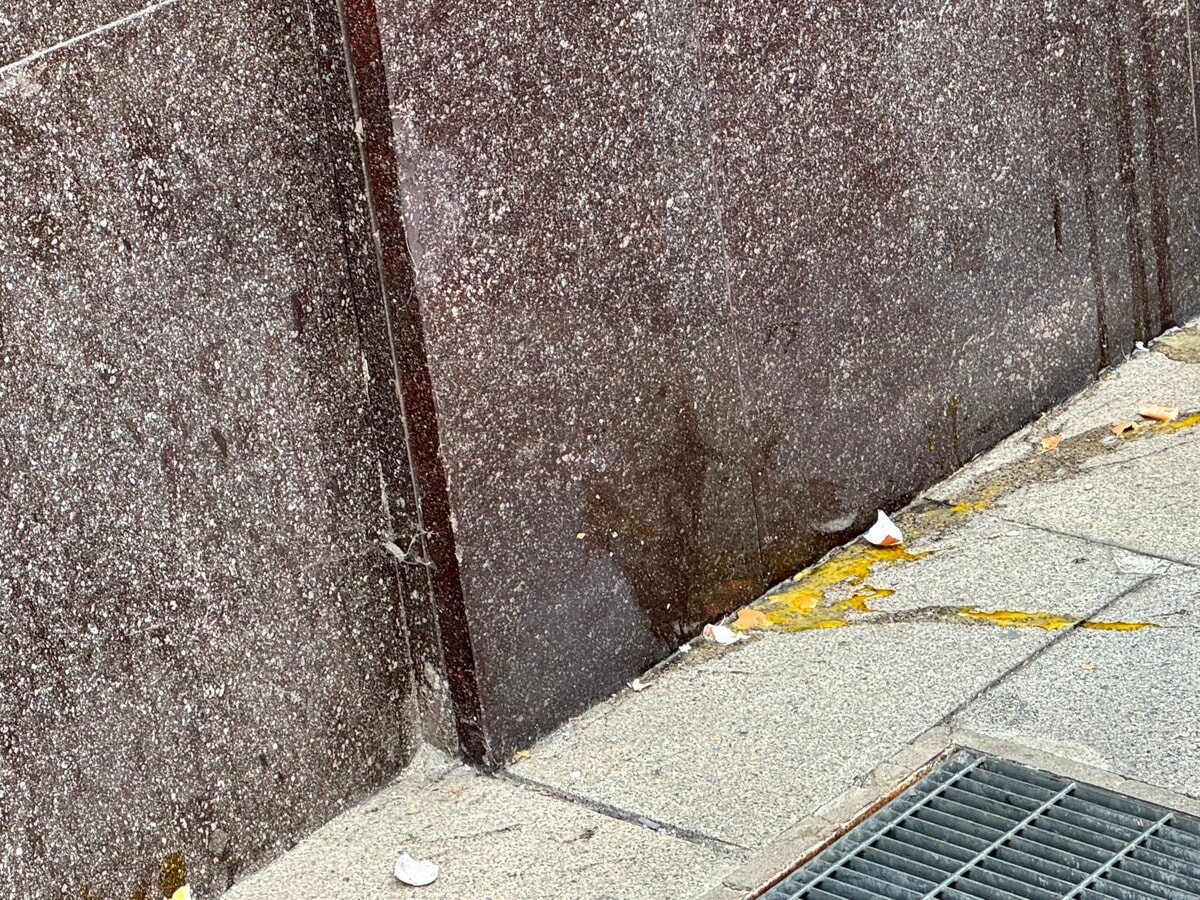 uova contro sede città