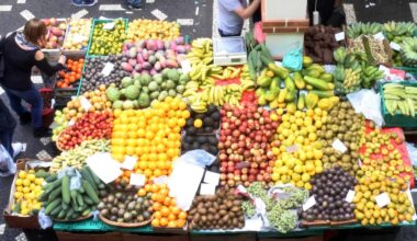 salva anche la pasta italiana