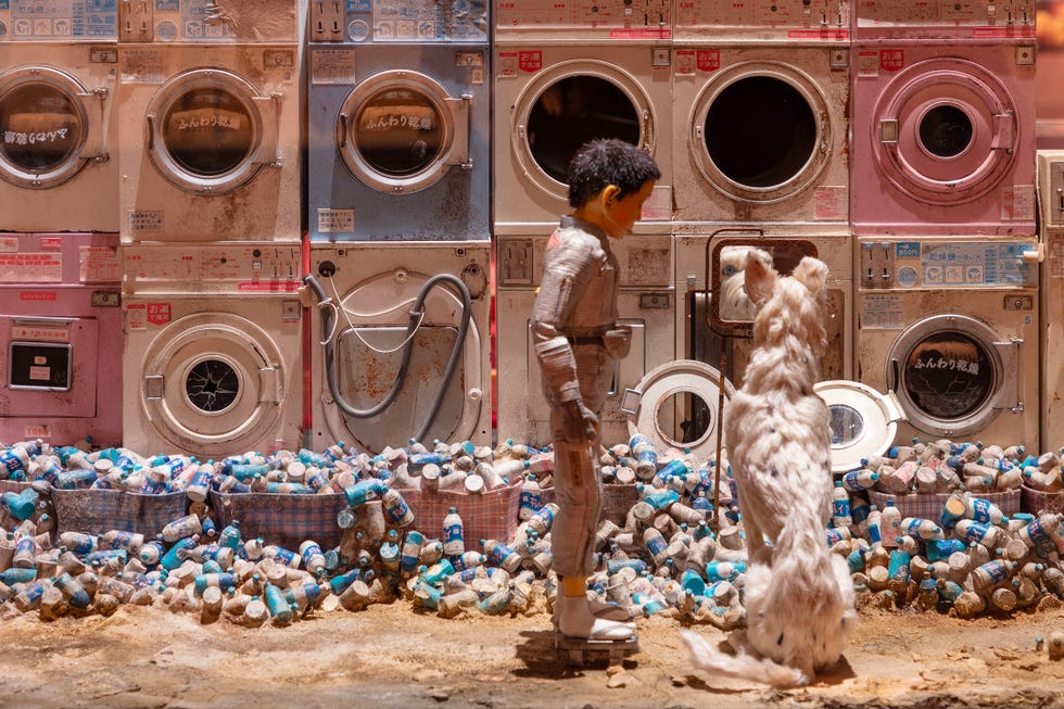 grande mostra su wes anderson