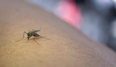 due casi a Bari, le analisi a Foggia