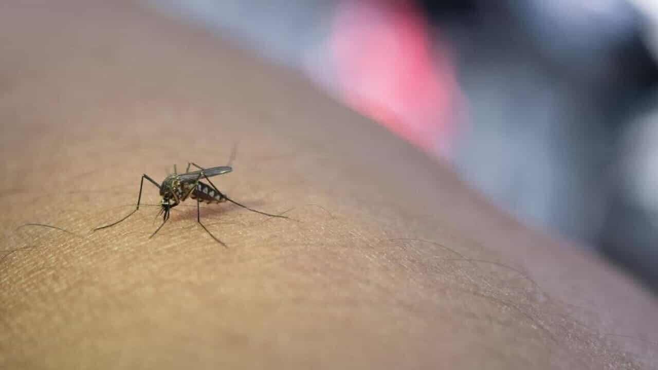 due casi a Bari, le analisi a Foggia