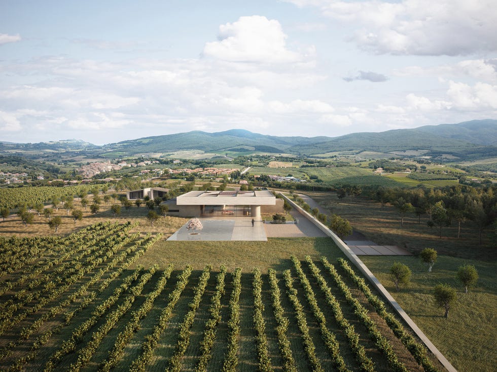 vineyard landscape with modern architecture
