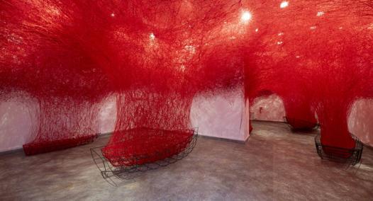 Mostre nelle feste natalizie, installazioni e tanta fotografia: l’arte conquista l’inverno italiano - Corriere della Sera