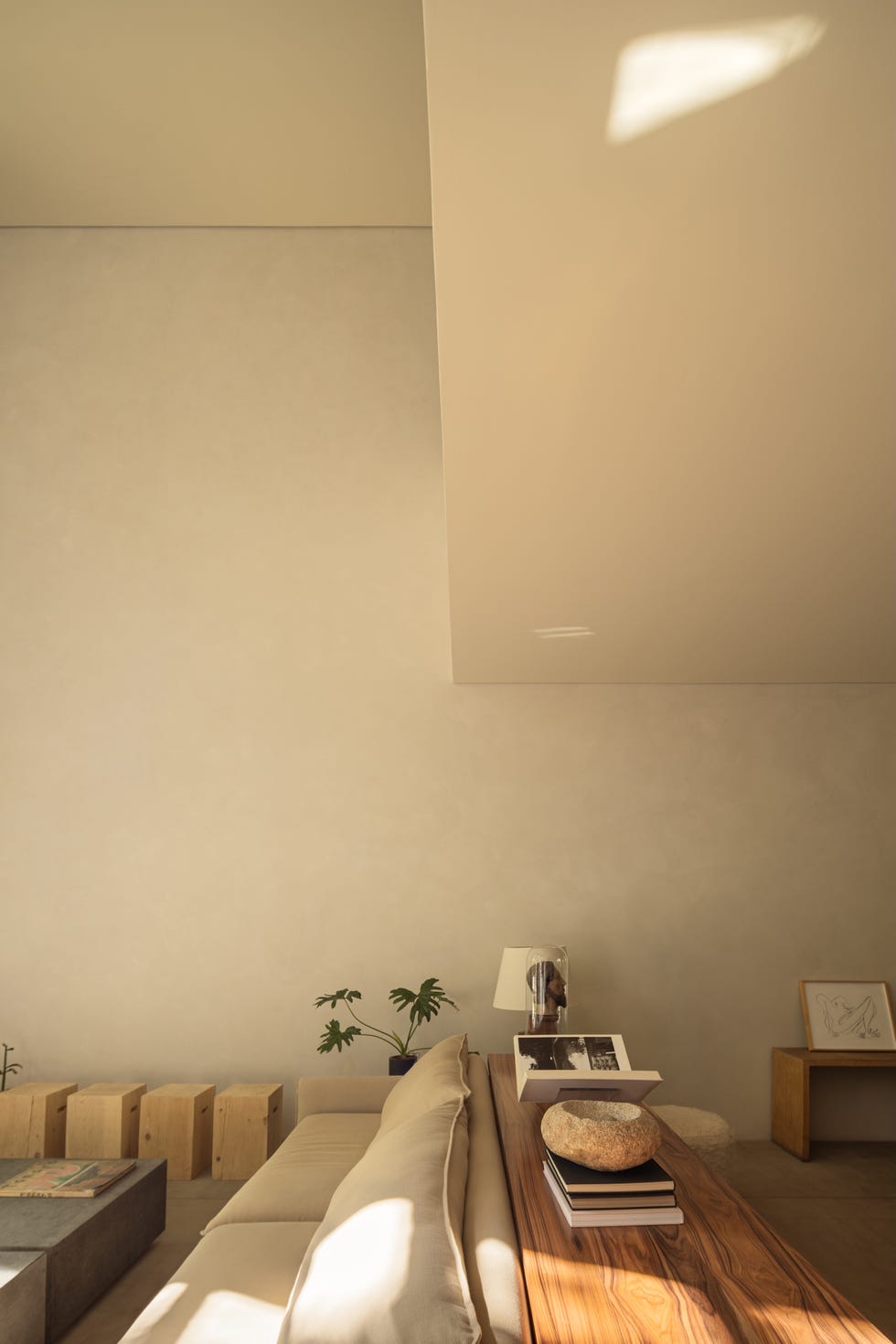 casa 6 metros ancho arboles medio patio interior escalera atraviesa casa sin pasar por habitacion