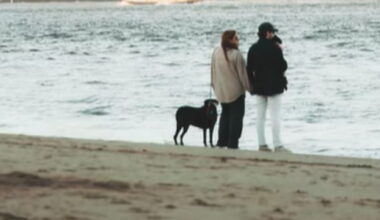 L’ultima passeggiata del cane Brees e la foto scattata al momento giusto come un segno del destino