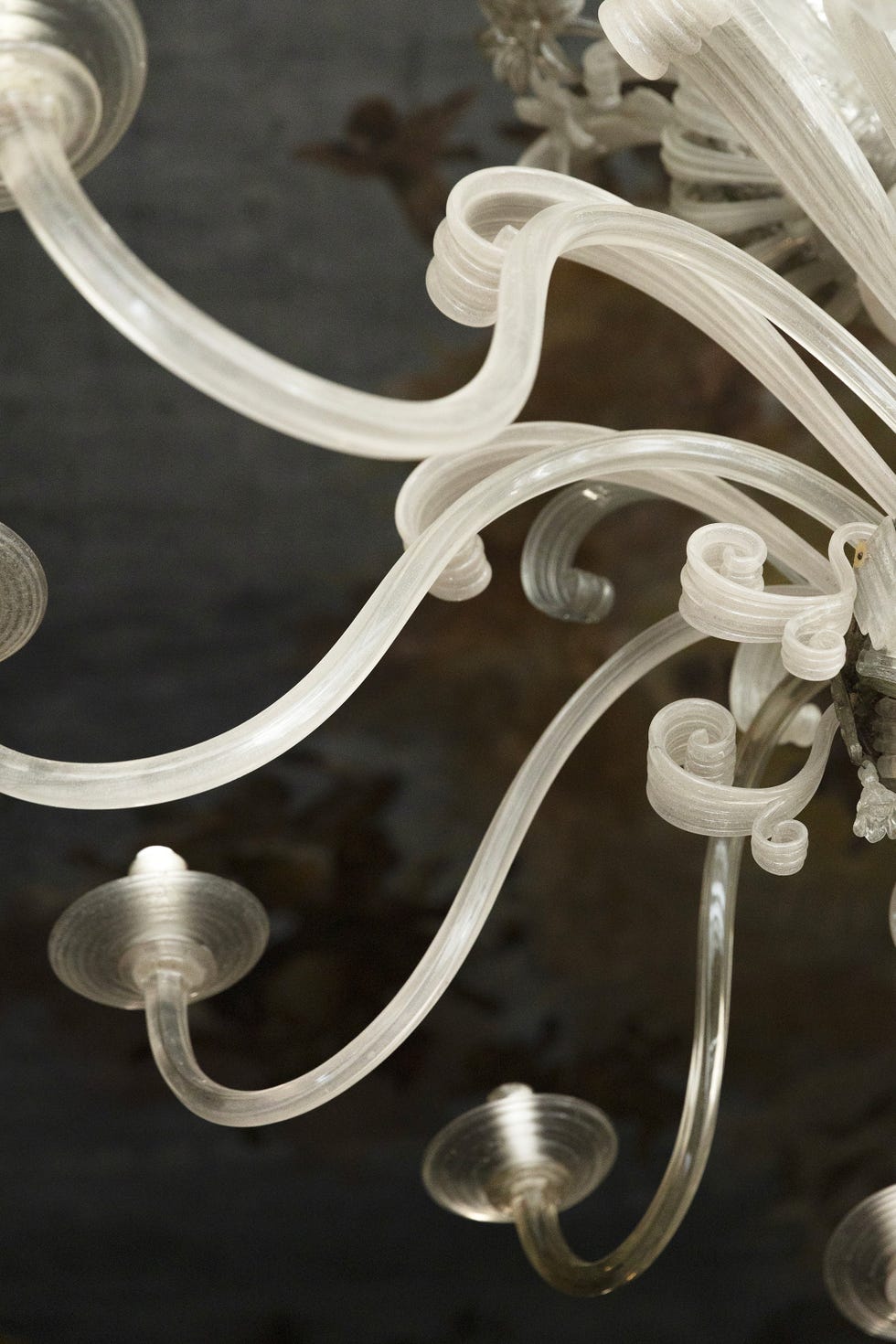 la fondazione dries van noten a venezia