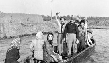 Mondine, braccianti, bottegai negli scatti di Giuseppe Pezzini, il fotografo ambulante della Bassa - la Repubblica