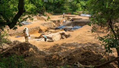 Scoperto il primo fuoco acceso dall’uomo: risale a 400mila anni fa - la Repubblica